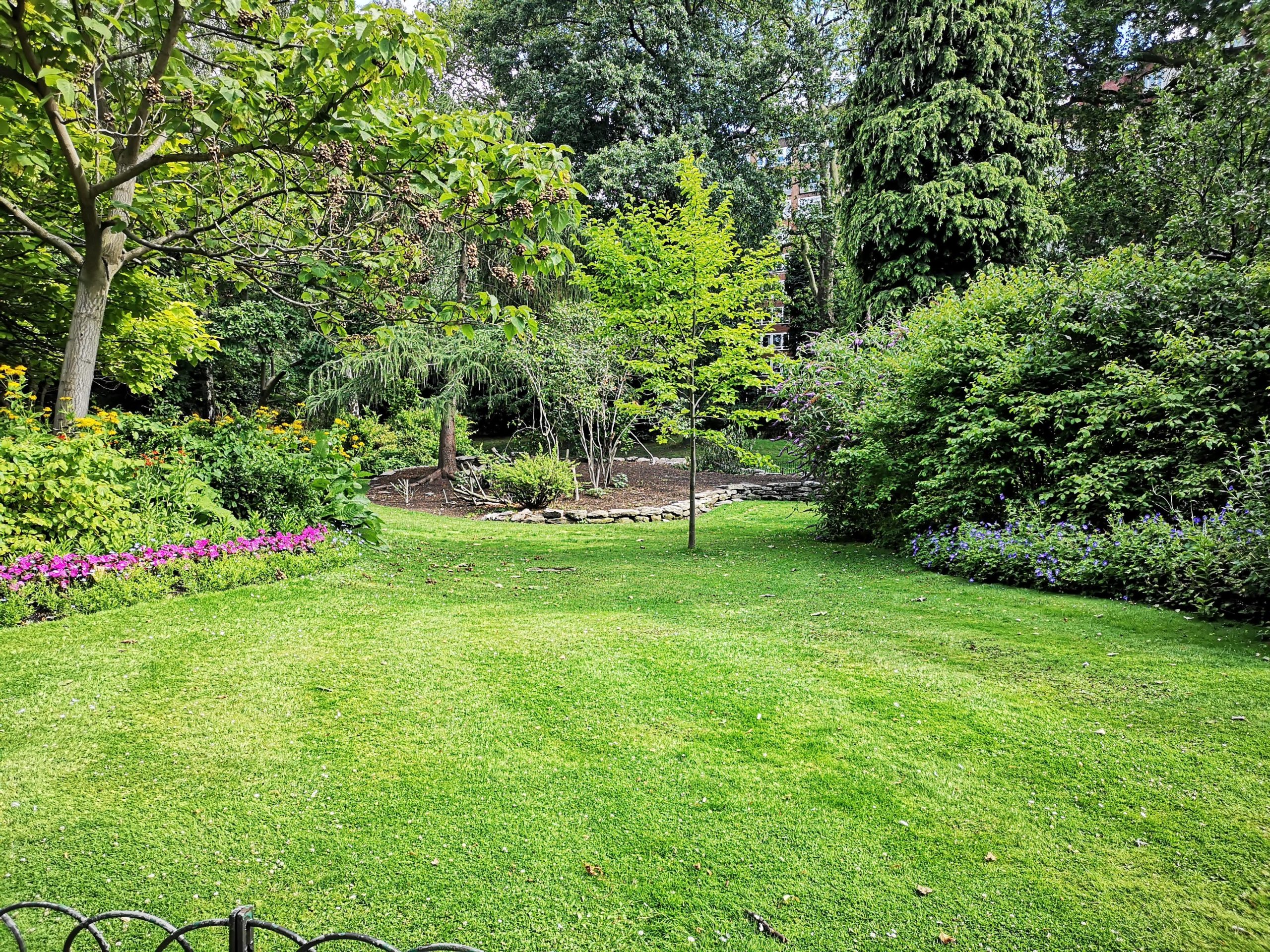 green lawn mower cutting grass