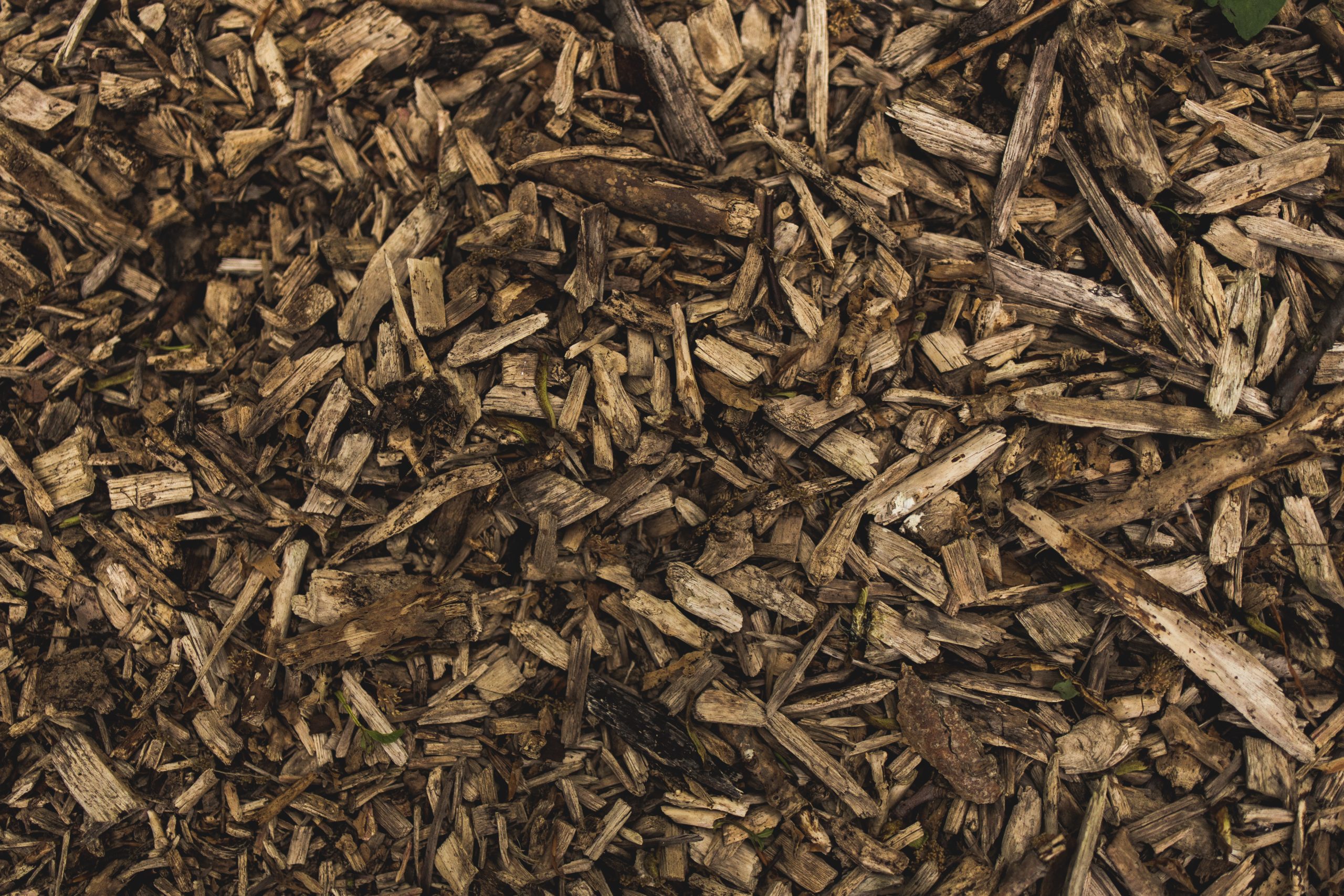 brown mulch pieces